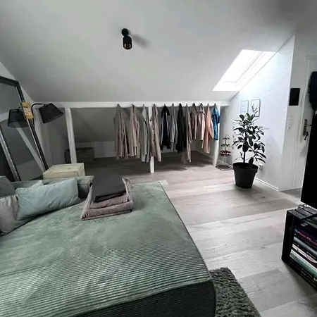 Modern Attic Loft Nahe Rottweil Apartment